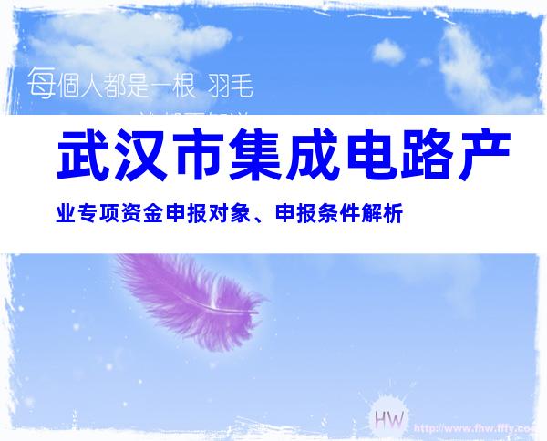 武汉市集成电路产业专项资金申报对象、申报条件解析