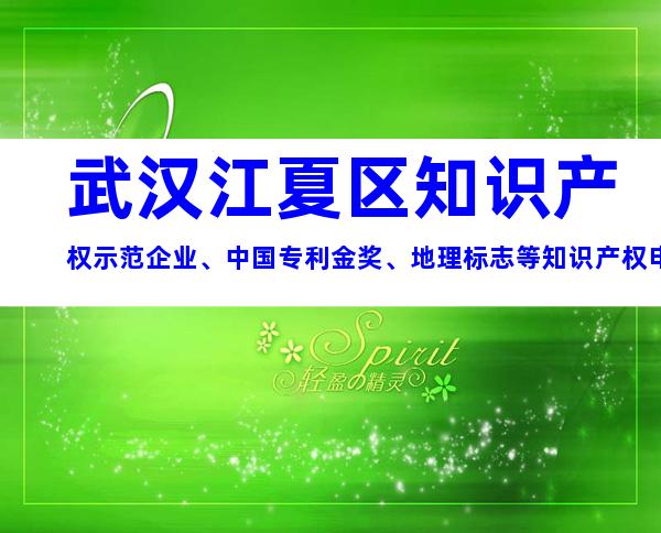 武汉江夏区知识产权示范企业、中国专利金奖、地理标志等知识产权申报奖补、条件