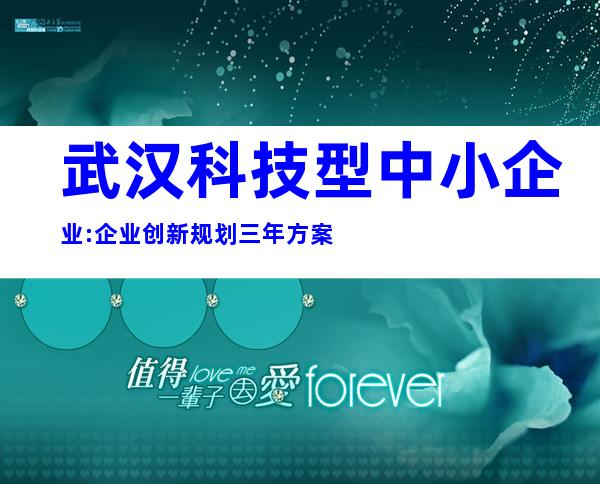 武汉科技型中小企业:企业创新规划三年方案