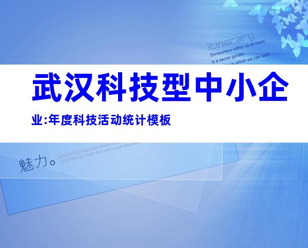 武汉科技型中小企业:年度科技活动统计模板