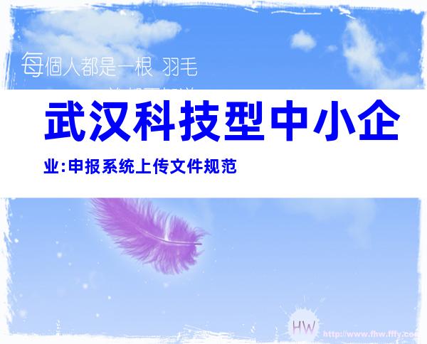 武汉科技型中小企业:申报系统上传文件规范