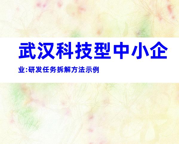 武汉科技型中小企业:研发任务拆解方法示例