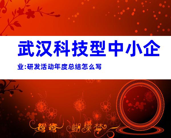 武汉科技型中小企业:研发活动年度总结怎么写