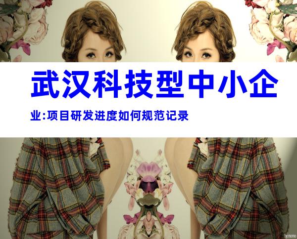 武汉科技型中小企业:项目研发进度如何规范记录