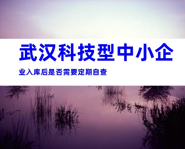 武汉科技型中小企业入库后是否需要定期自查