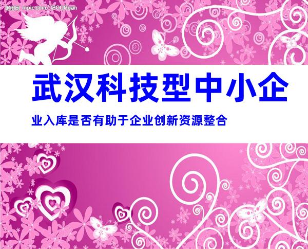 武汉科技型中小企业入库是否有助于企业创新资源整合