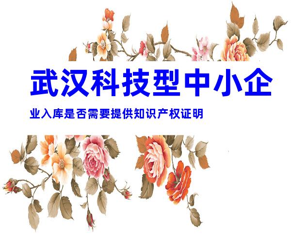 武汉科技型中小企业入库是否需要提供知识产权证明