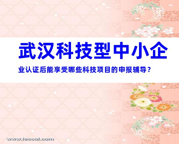 武汉科技型中小企业认证后能享受哪些科技项目的申报辅导？