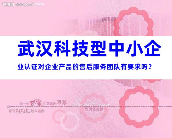 武汉科技型中小企业认证对企业产品的售后服务团队有要求吗？