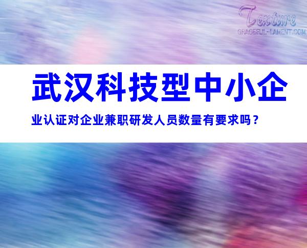 武汉科技型中小企业认证对企业兼职研发人员数量有要求吗？