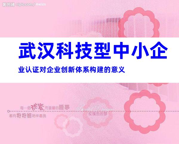 武汉科技型中小企业认证对企业创新体系构建的意义
