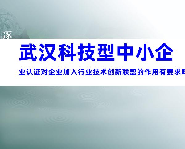 武汉科技型中小企业认证对企业加入行业技术创新联盟的作用有要求吗？