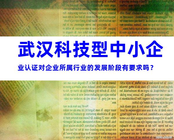 武汉科技型中小企业认证对企业所属行业的发展阶段有要求吗？