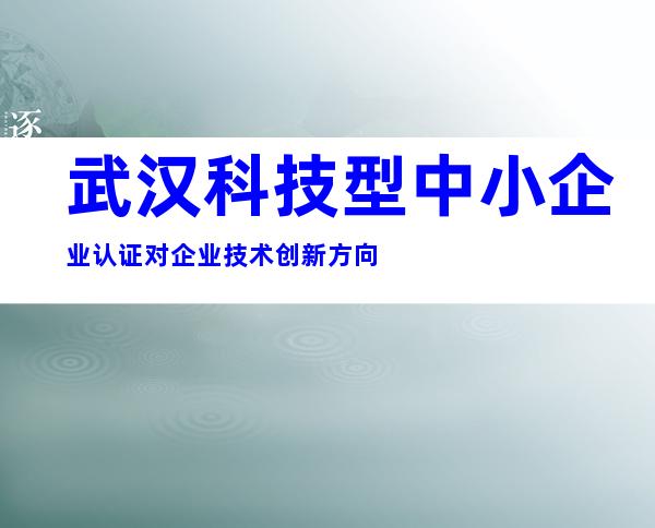 武汉科技型中小企业认证对企业技术创新方向