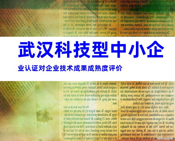 武汉科技型中小企业认证对企业技术成果成熟度评价