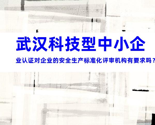 武汉科技型中小企业认证对企业的安全生产标准化评审机构有要求吗？