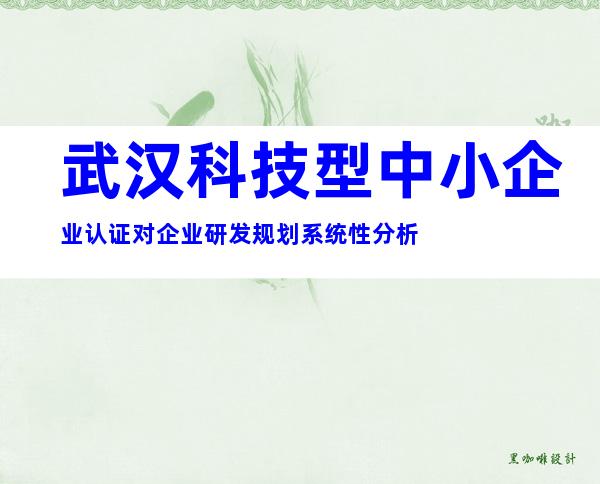 武汉科技型中小企业认证对企业研发规划系统性分析