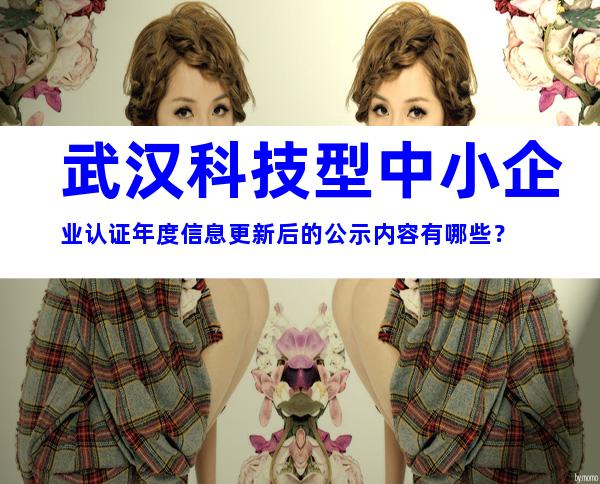武汉科技型中小企业认证年度信息更新后的公示内容有哪些？