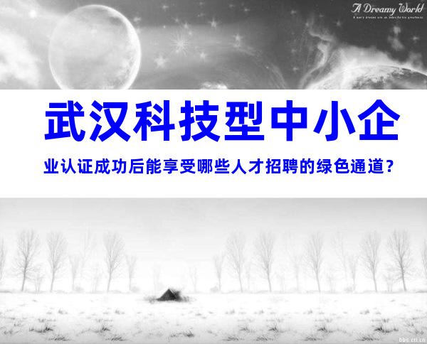 武汉科技型中小企业认证成功后能享受哪些人才招聘的绿色通道？