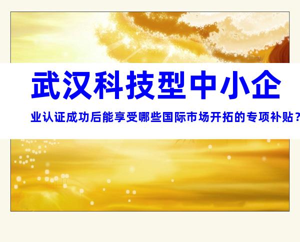 武汉科技型中小企业认证成功后能享受哪些国际市场开拓的专项补贴？