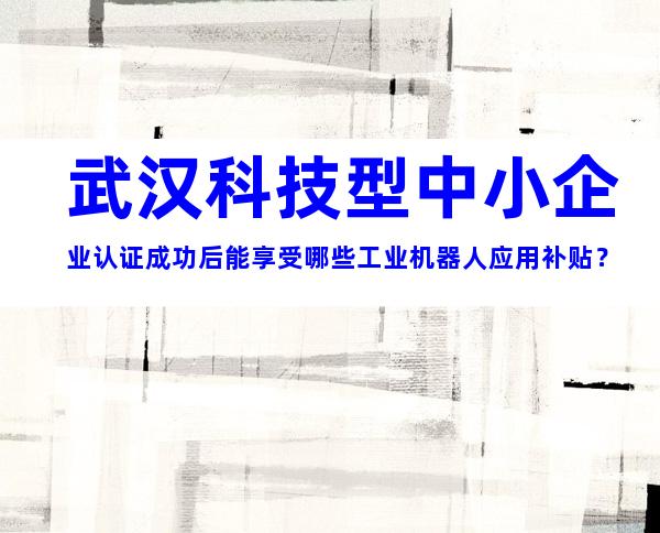 武汉科技型中小企业认证成功后能享受哪些工业机器人应用补贴？