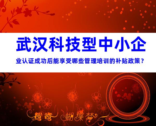 武汉科技型中小企业认证成功后能享受哪些管理培训的补贴政策？