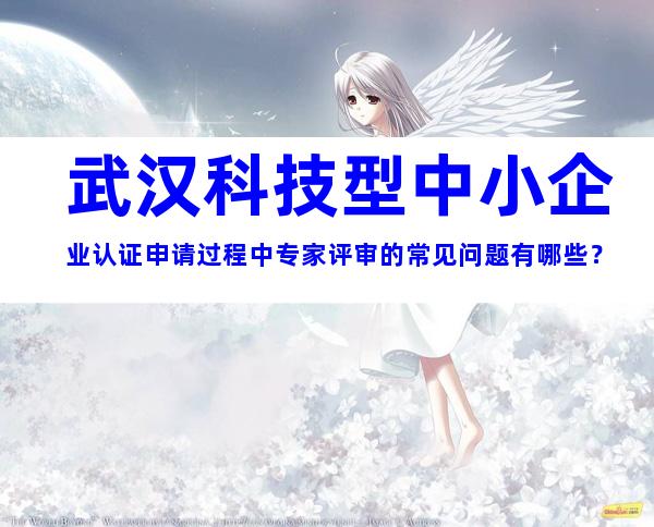 武汉科技型中小企业认证申请过程中专家评审的常见问题有哪些？