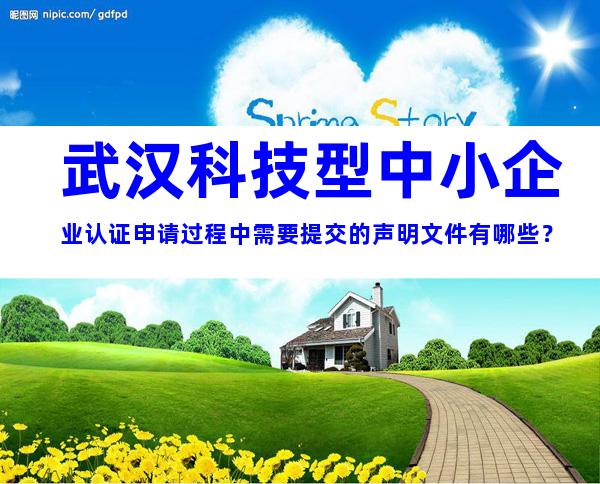 武汉科技型中小企业认证申请过程中需要提交的声明文件有哪些？