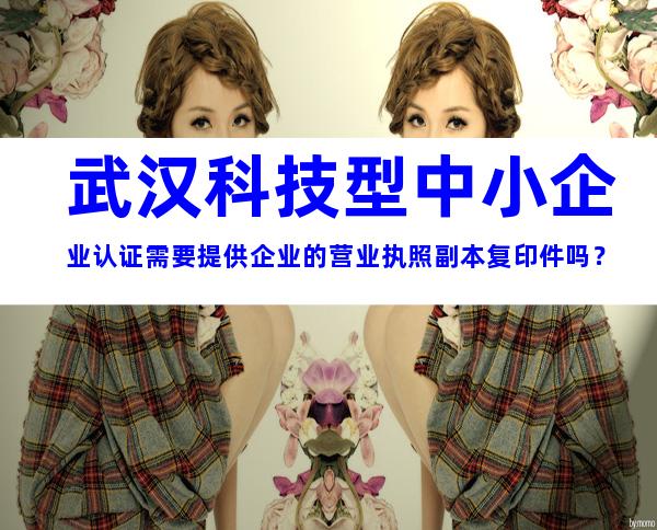武汉科技型中小企业认证需要提供企业的营业执照副本复印件吗？