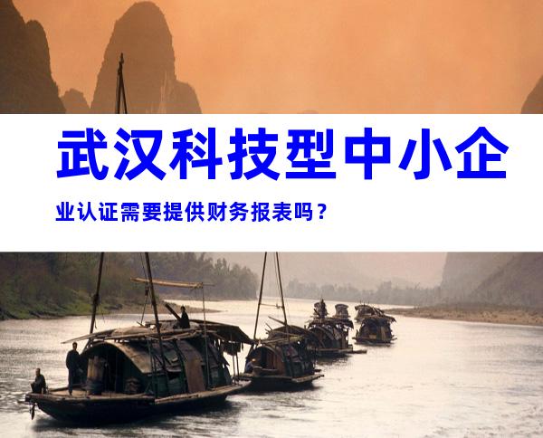 武汉科技型中小企业认证需要提供财务报表吗？
