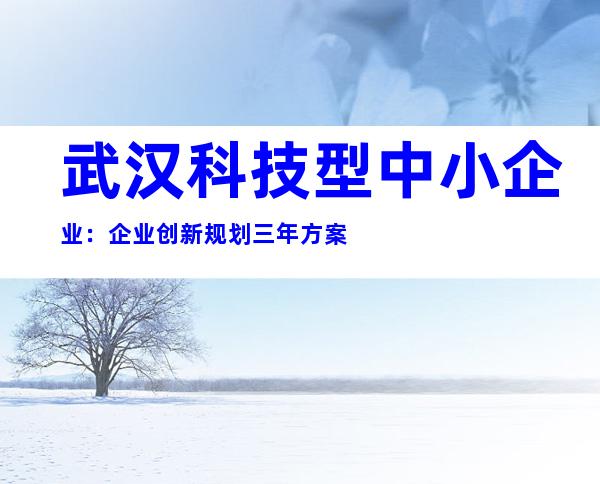 武汉科技型中小企业：企业创新规划三年方案