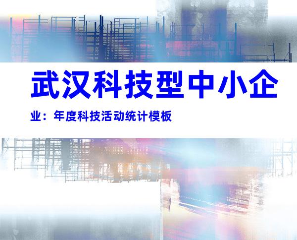 武汉科技型中小企业：年度科技活动统计模板