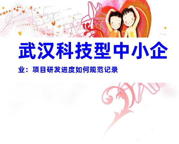 武汉科技型中小企业：项目研发进度如何规范记录