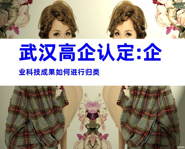 武汉高企认定:企业科技成果如何进行归类