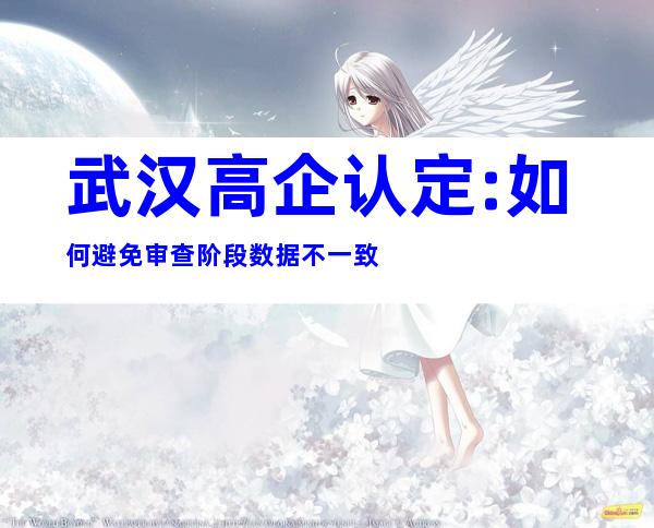 武汉高企认定:如何避免审查阶段数据不一致