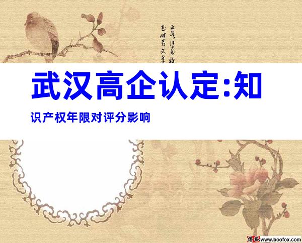 武汉高企认定:知识产权年限对评分影响