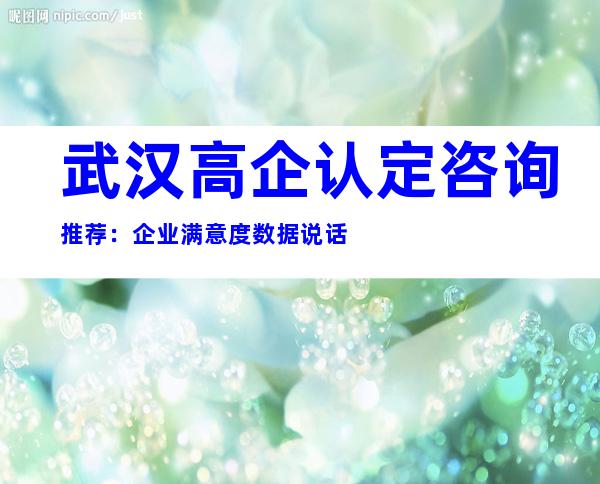 武汉高企认定咨询推荐：企业满意度数据说话