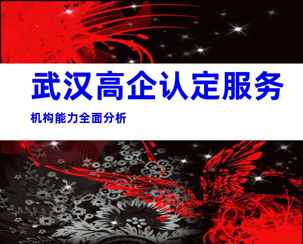 武汉高企认定服务机构能力全面分析