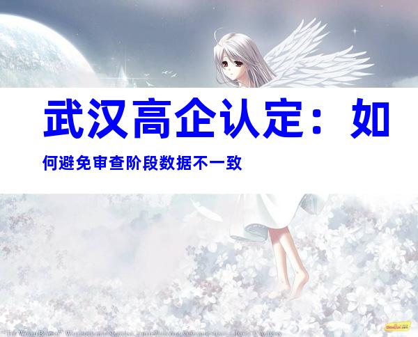 武汉高企认定：如何避免审查阶段数据不一致