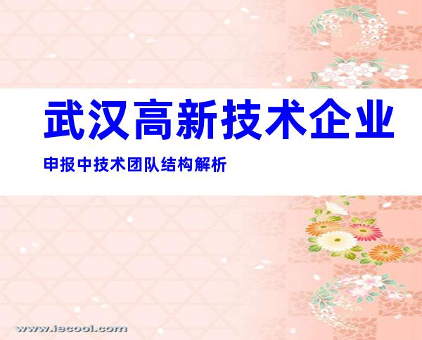 武汉高新技术企业申报中技术团队结构解析
