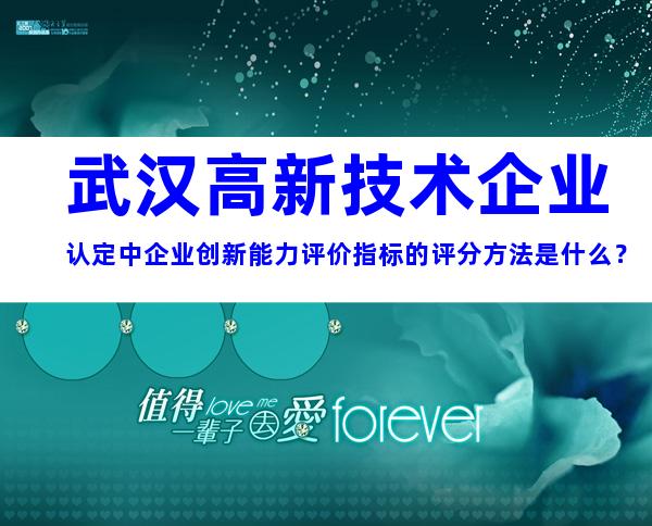 武汉高新技术企业认定中企业创新能力评价指标的评分方法是什么？