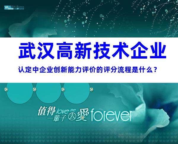 武汉高新技术企业认定中企业创新能力评价的评分流程是什么？