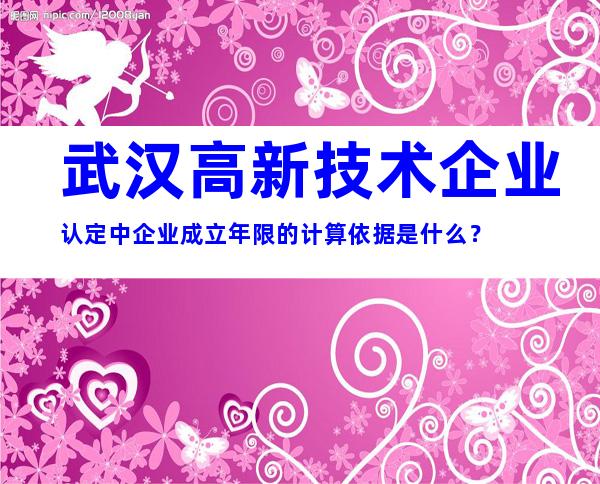武汉高新技术企业认定中企业成立年限的计算依据是什么？