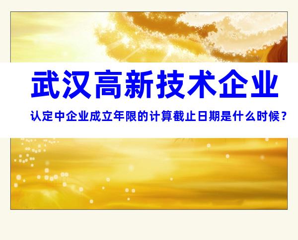 武汉高新技术企业认定中企业成立年限的计算截止日期是什么时候？