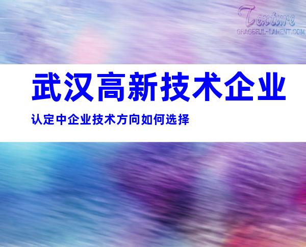武汉高新技术企业认定中企业技术方向如何选择