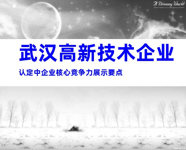 武汉高新技术企业认定中企业核心竞争力展示要点