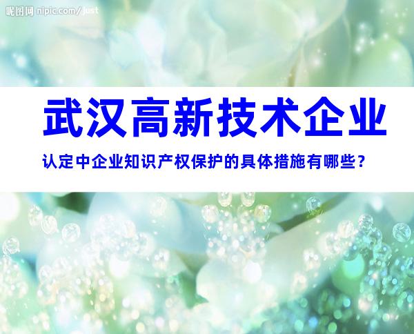 武汉高新技术企业认定中企业知识产权保护的具体措施有哪些？
