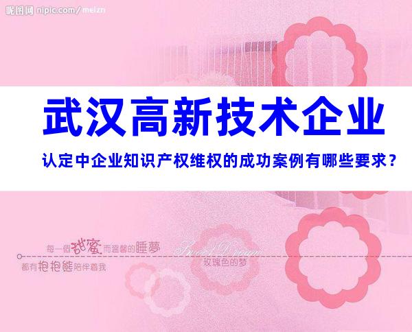 武汉高新技术企业认定中企业知识产权维权的成功案例有哪些要求？