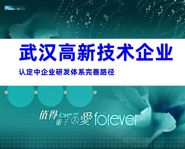 武汉高新技术企业认定中企业研发体系完善路径
