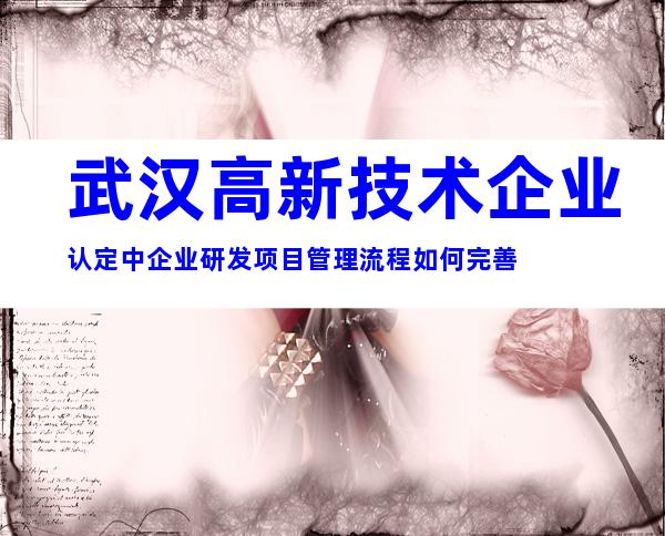 武汉高新技术企业认定中企业研发项目管理流程如何完善